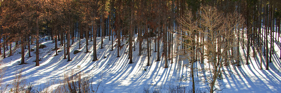 Long Shadows - Color Photograph by Gregory Ballos Long Shadows - Color Photograph by Gregory Ballos