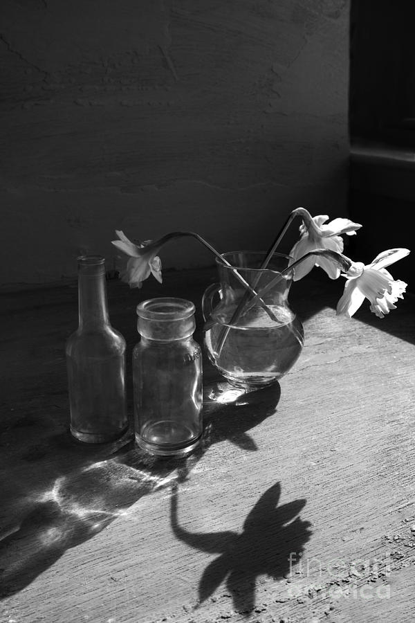Long Shadows Photograph by Elena Nosyreva