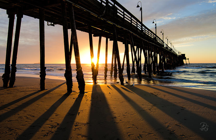 Long Shadows - Pacific Coast Sunset Photograph by Debra Boucher