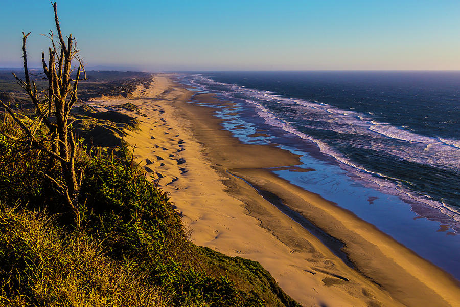 Long Strech Of Oregon Beach Photograph by Garry Gay - Pixels