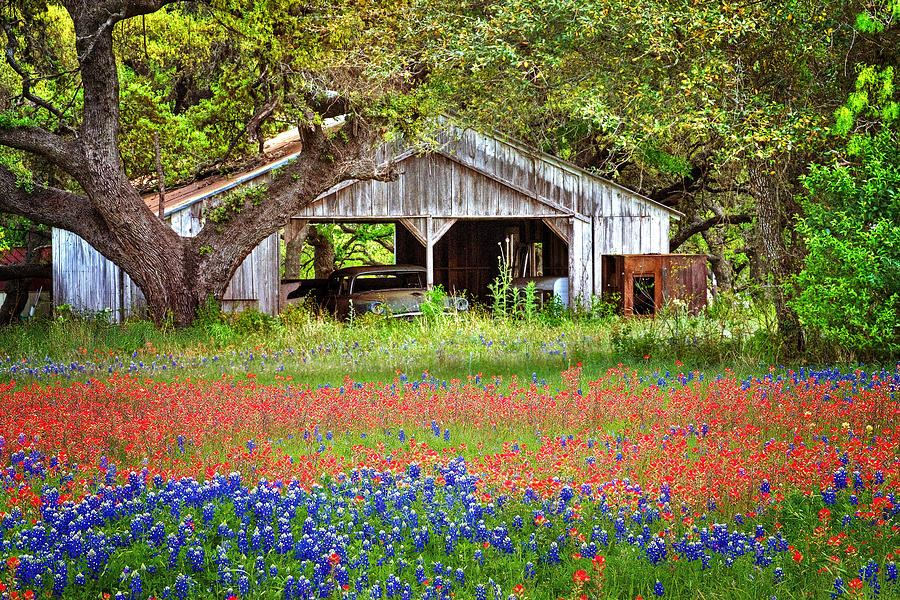 Long Term Parking Photograph by Lynn Bauer | Fine Art America