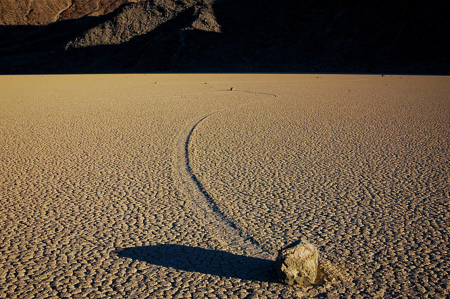 Long Tracks Photograph by TM Schultze