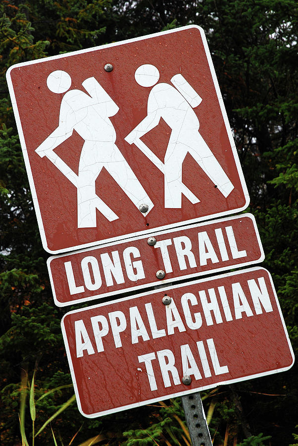 Long Trail Appalachian Trail Photograph by James Kirkikis