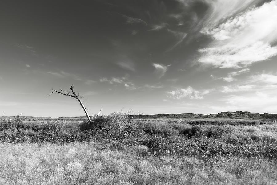 Long View Black and White Photograph by Allan Van Gasbeck