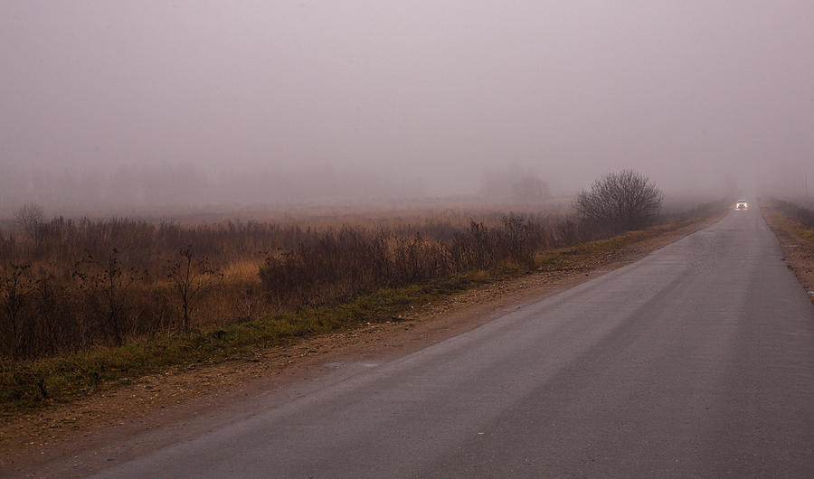 Nature Photograph - Long way home by car in the fog by Anna Matveeva