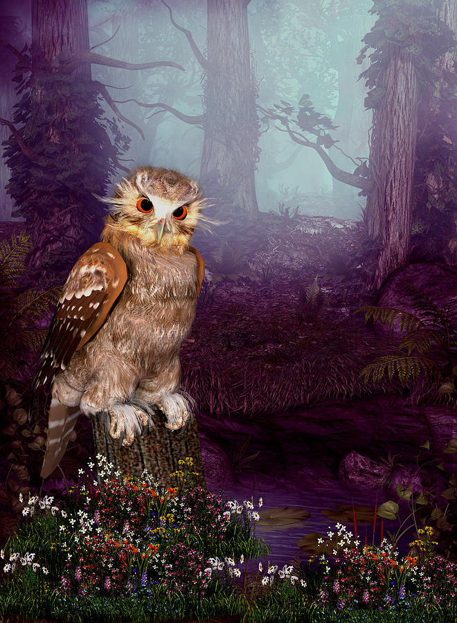 Long Whisker Owl Digital Art by John Junek