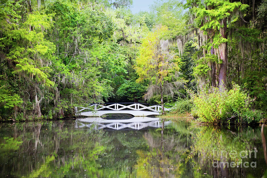 Long White Bridge Of Magnolia Plantation Photograph by Sharon McConnell