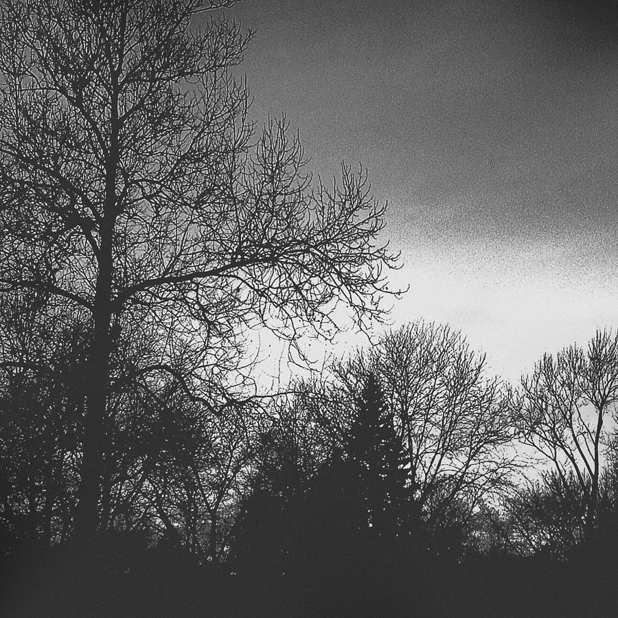 Nature Photograph - Long Winter by Frank J Casella