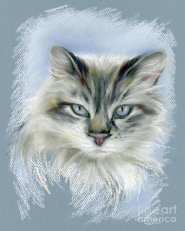Longhaired Cat with Blue Eyes Pastel by MM Anderson