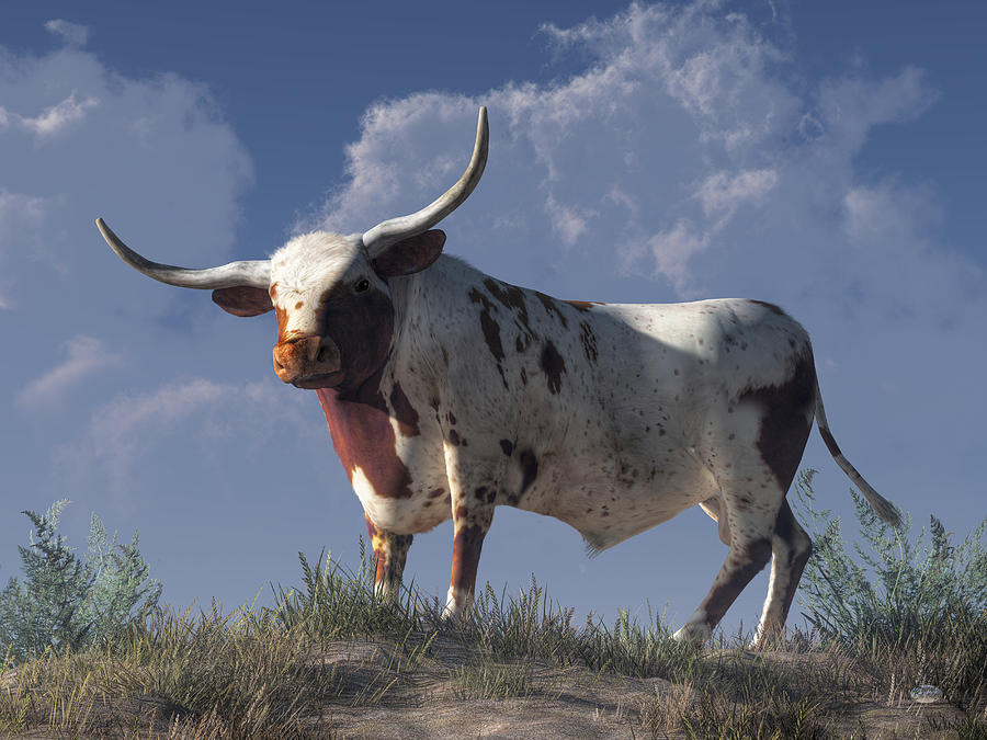 Cow Digital Art - Longhorn by Daniel Eskridge