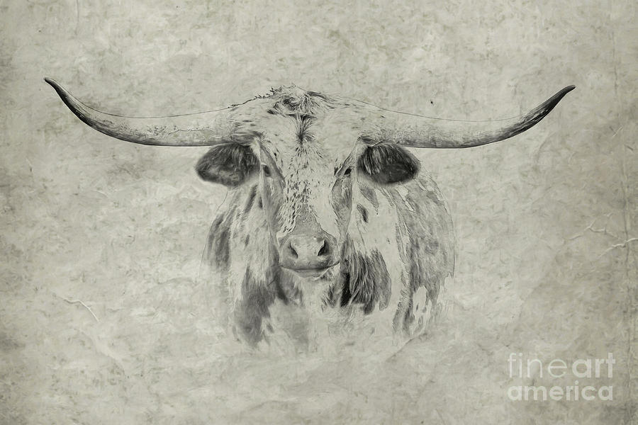 Longhorn Digital Art - Longhorn by Randy Steele Longhorn Digital Art - Longhorn by Randy Steele