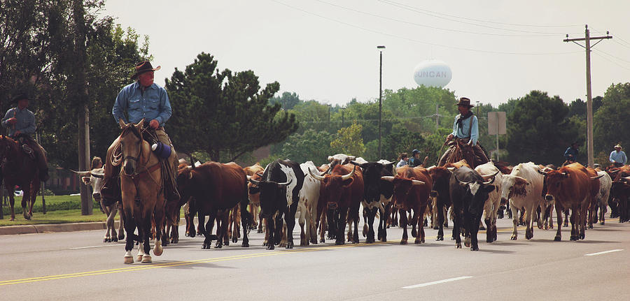 Longhorns on the Move along Chisholm Trail  Photograph by Toni Hopper