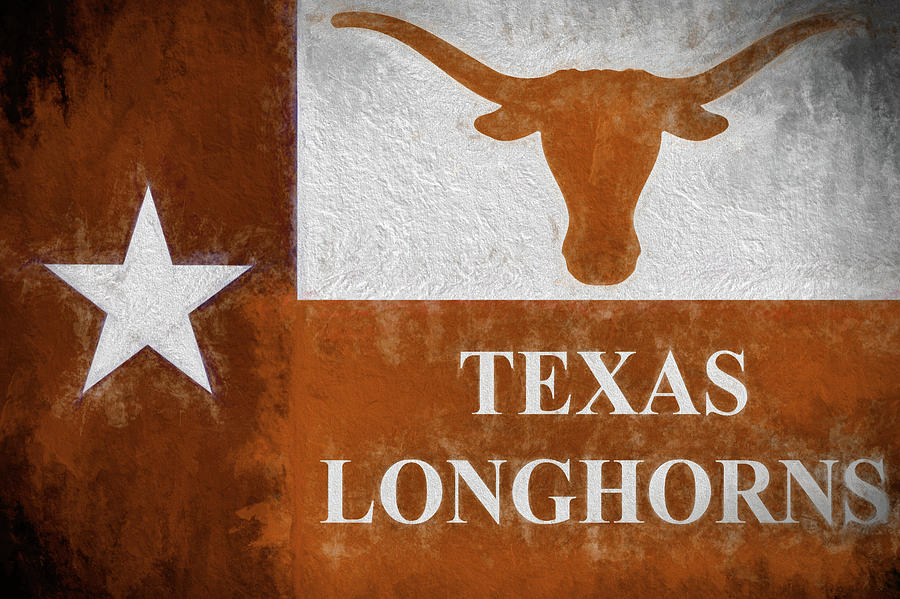 Longhorns Texas Flag Digital Art by JC Findley