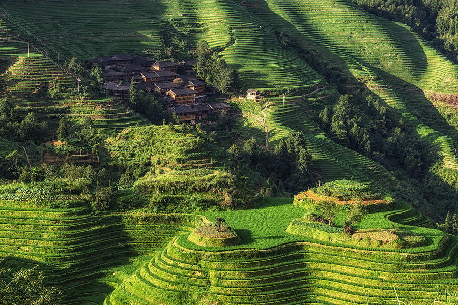 Mountain Photograph - Longi rice terrace by Aaron Choi