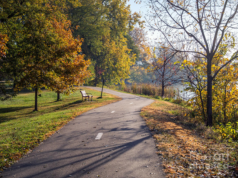 Longing for Winona Walking Path in Fall Photograph by Kari Yearous