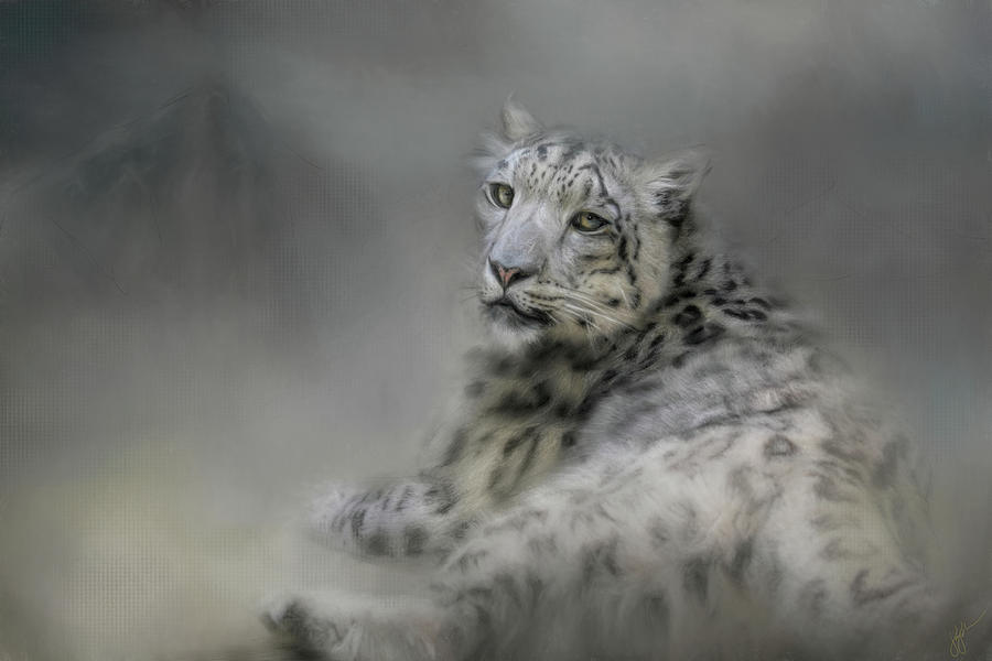 Longing Snow Leopard Art Painting by Jai Johnson