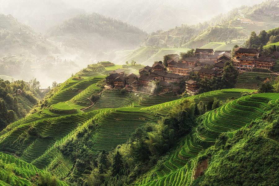 Mountain Photograph - Longji Rice Terrace  by Aaron Choi