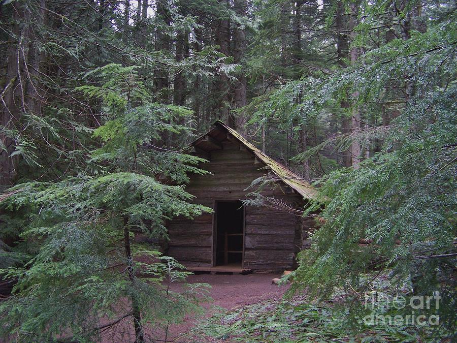Longmire Log Cabin Photograph by Charles Robinson
