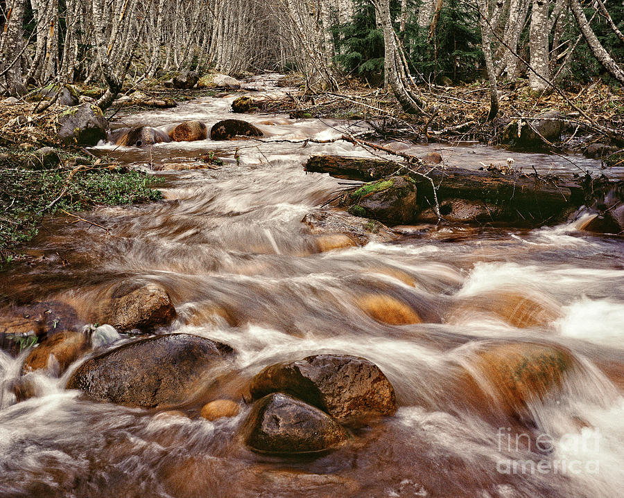 longmire stream