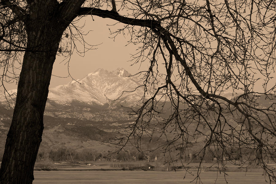 Nature Photograph - Longs Peak and Mt. Meeker Twin Peaks Black and White Sepia Photo by James BO Insogna