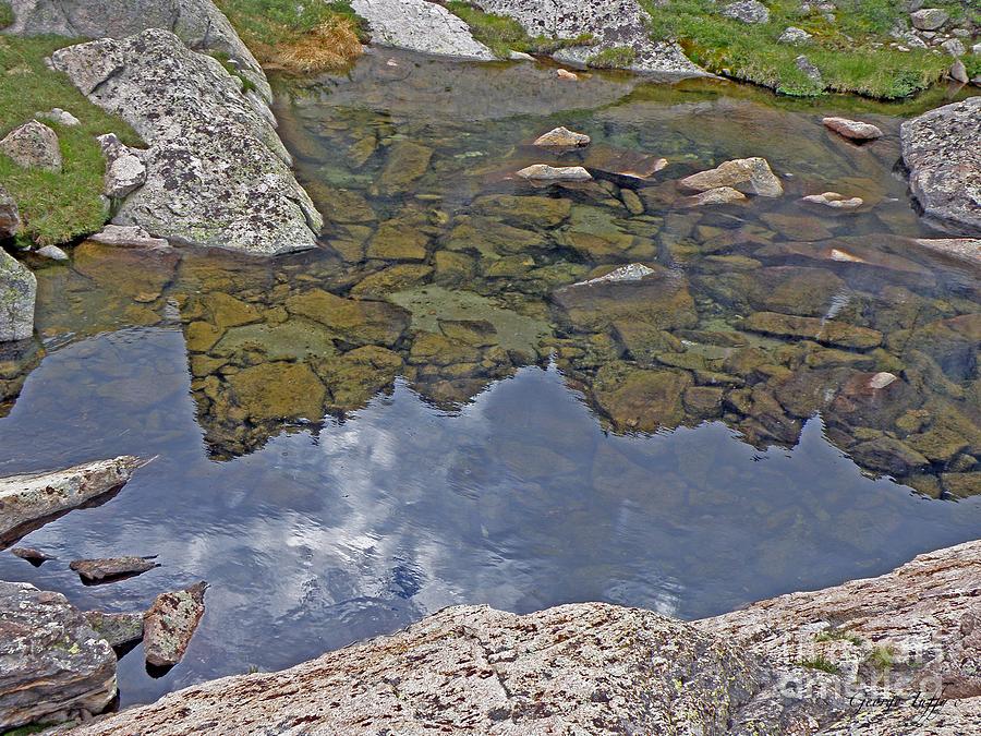 Longs peak reflected Photograph by George Tuffy