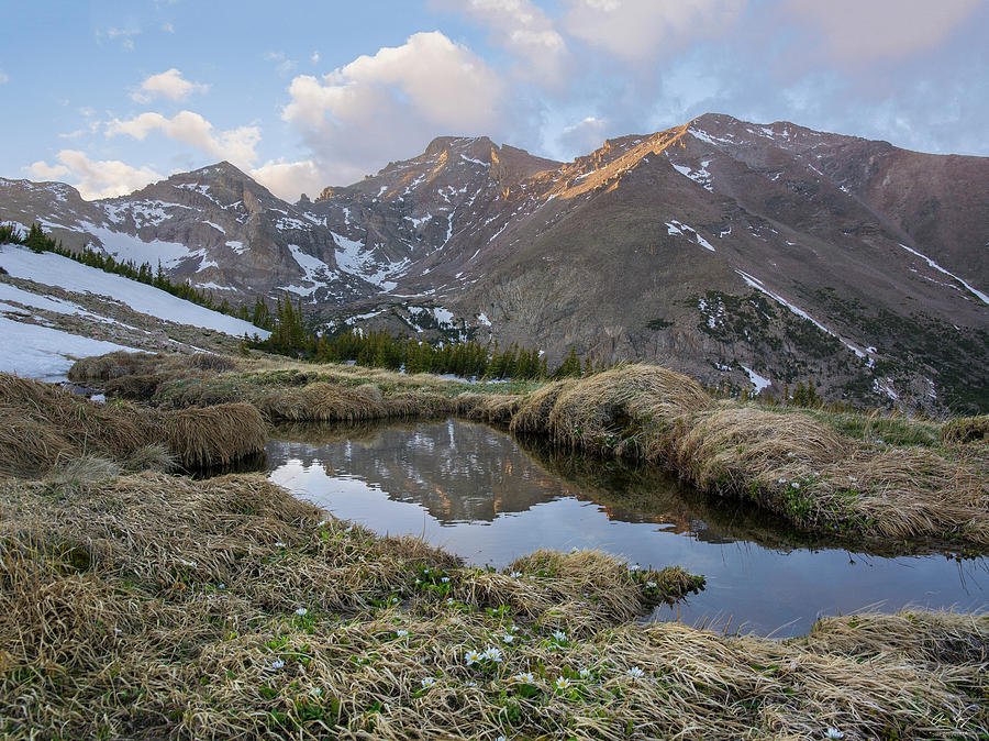 Longs Peak Reflection Photograph by Aaron Spong
