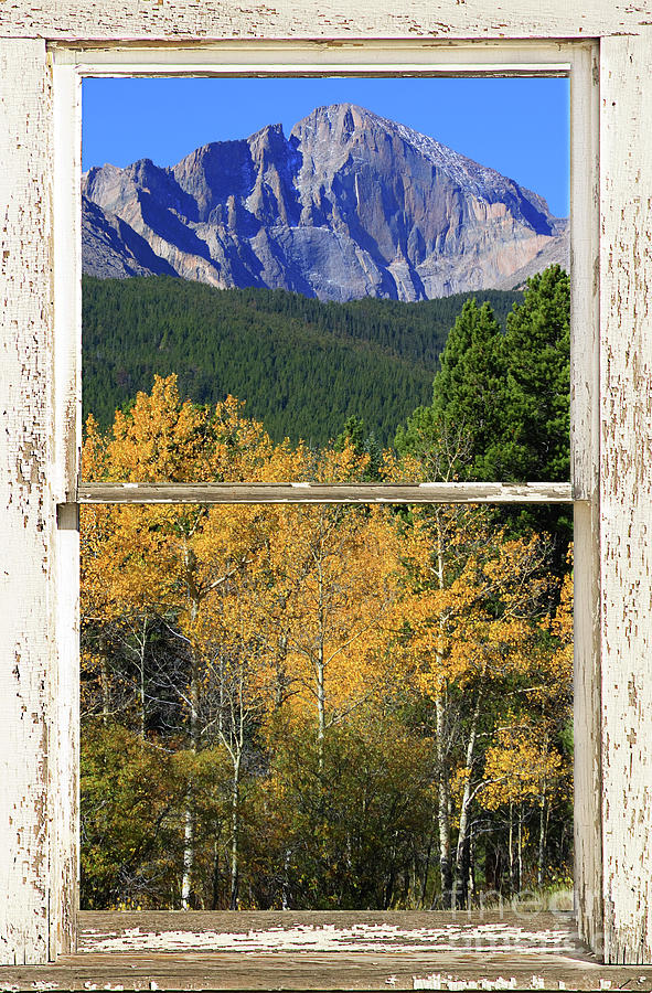 Longs Peak Window View Photograph by James BO Insogna
