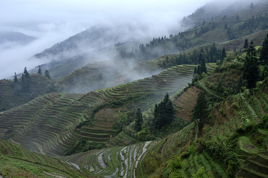 Mountain Photograph - Longsheng Rice Terraces by Michele Burgess