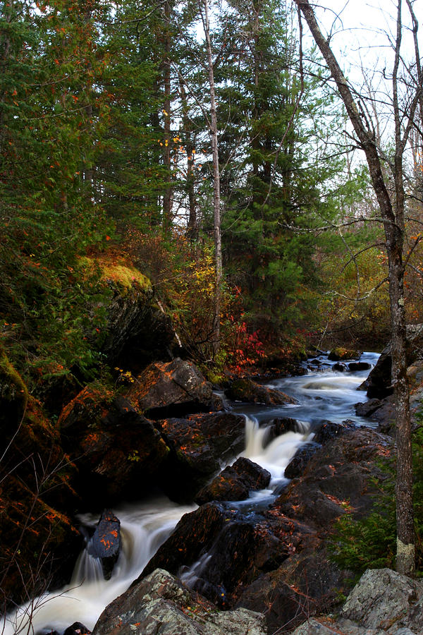 Longslide Falls in Fall Photograph by Brook Burling