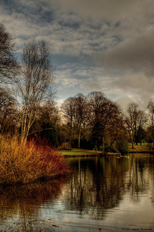 Longton Park in February Photograph by David J Knight - Pixels