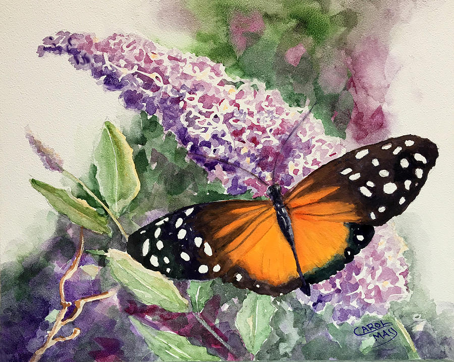 Longwing on a Butterfly Bush Painting by Art by Carol May