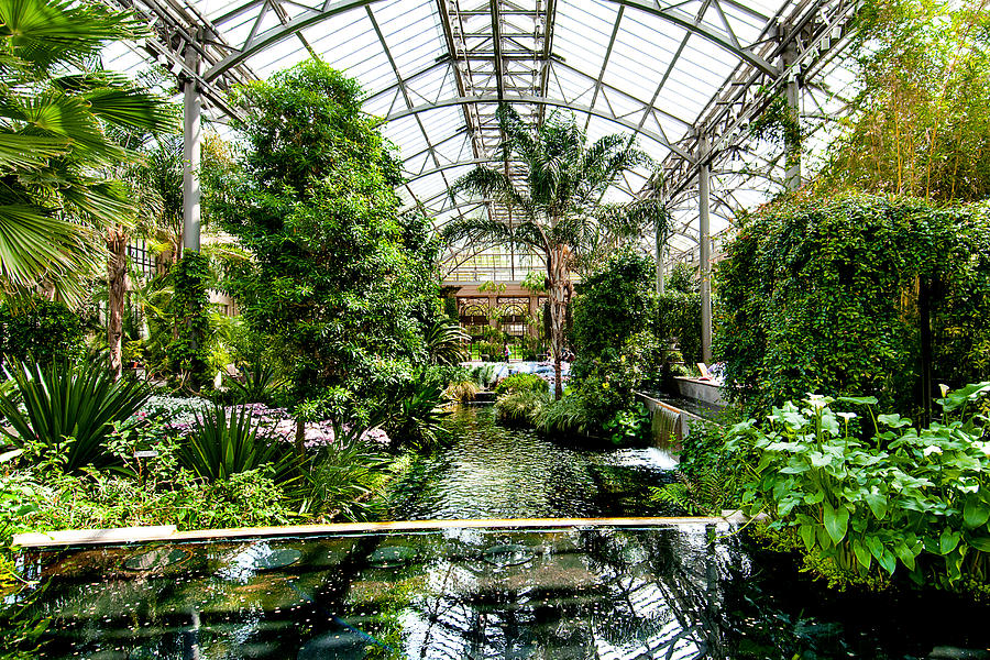 Longwood Gardens Photograph by Greg Fortier