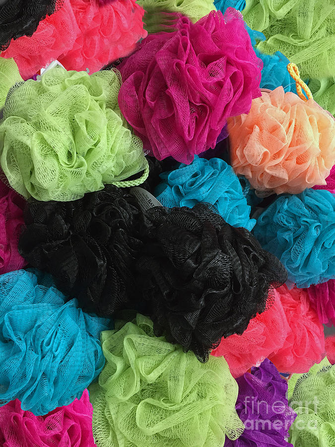 Loofah Colorful Photograph by Rick Locke - Out of the Corner of My Eye