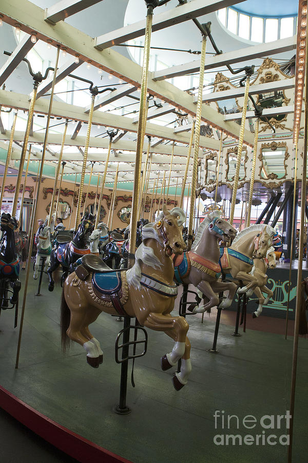 Looff Carousel Santa Cruz Boardwalk Photograph by Jason O Watson