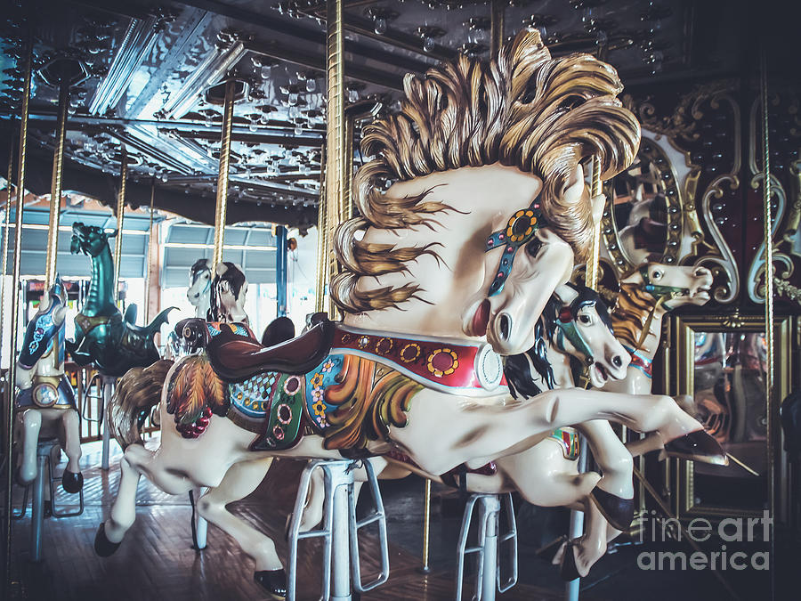 Looff Stallion - Carousel Photograph by Colleen Kammerer