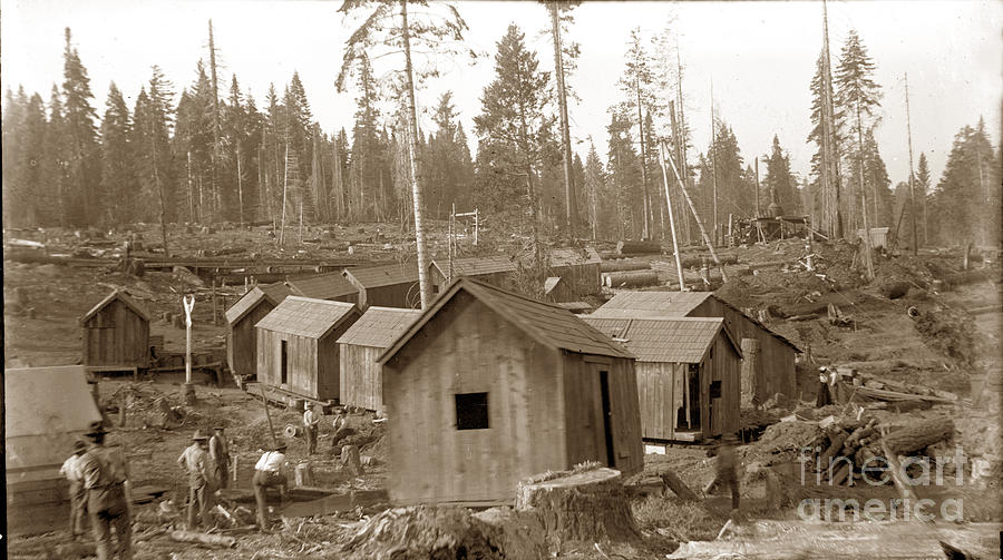Train Photograph - Logging camp cabins on a train circa 1900 by Monterey County Historical Society