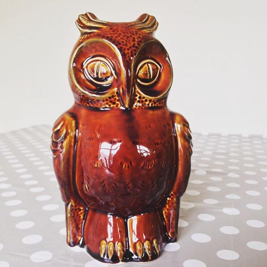 Look At My Beautiful Money Box Owl Photograph by Jennie Davies