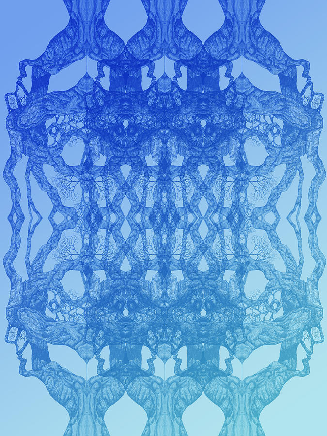 Look At You Tree 11 hybrid Blue Digital Art by Brian Kirchner