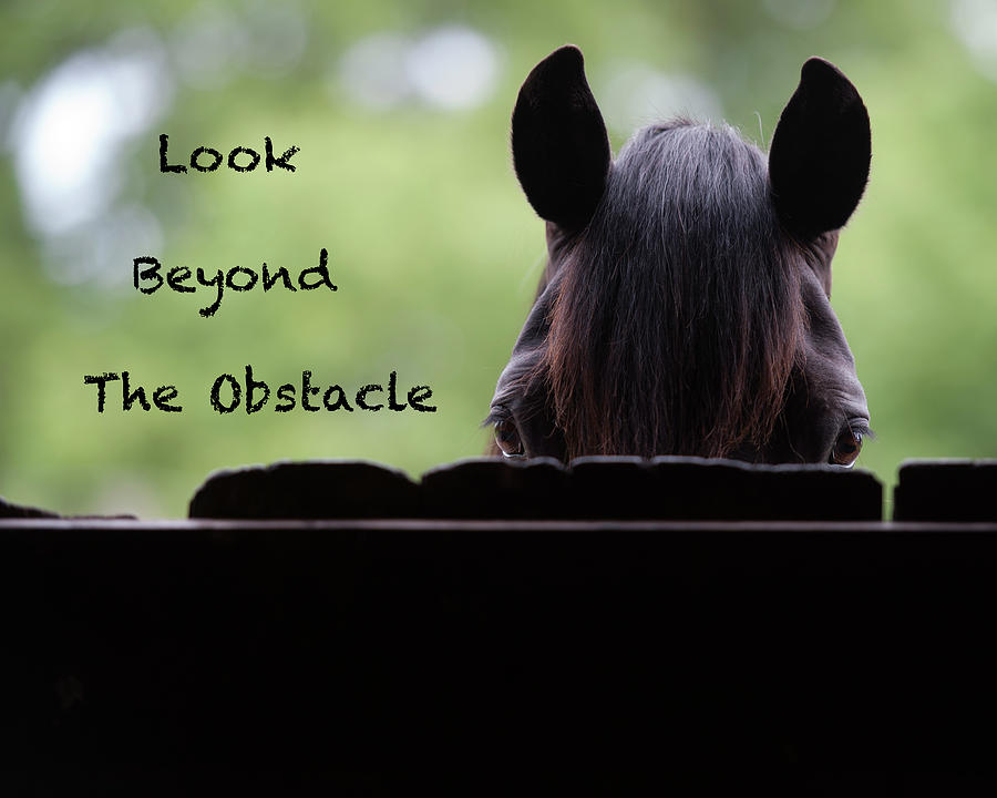 Inspirational Photograph - Look Beyond The Obstacle by Shawn Hamilton