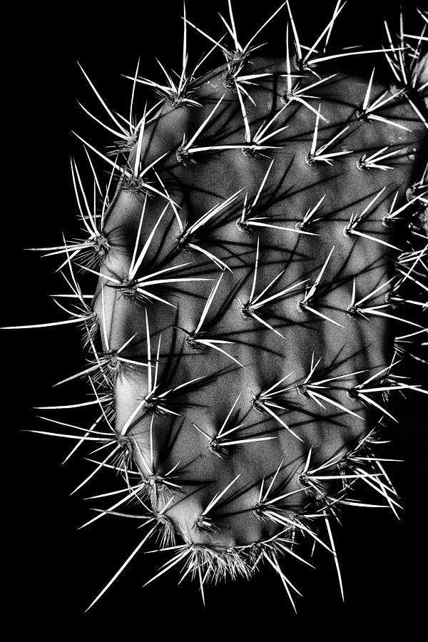 Look but don't touch by Rusty Childress Look but don't touch by Rusty Childress