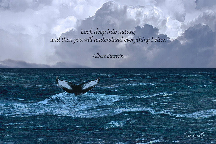 Look Deep Into Nature Poster Digital Art by M Spadecaller