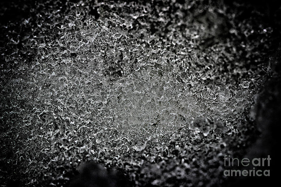 Look into My Ice Photograph by Karen Adams