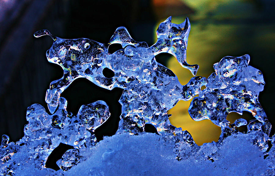 Look Into My Ice  Photograph by Sean Sarsfield