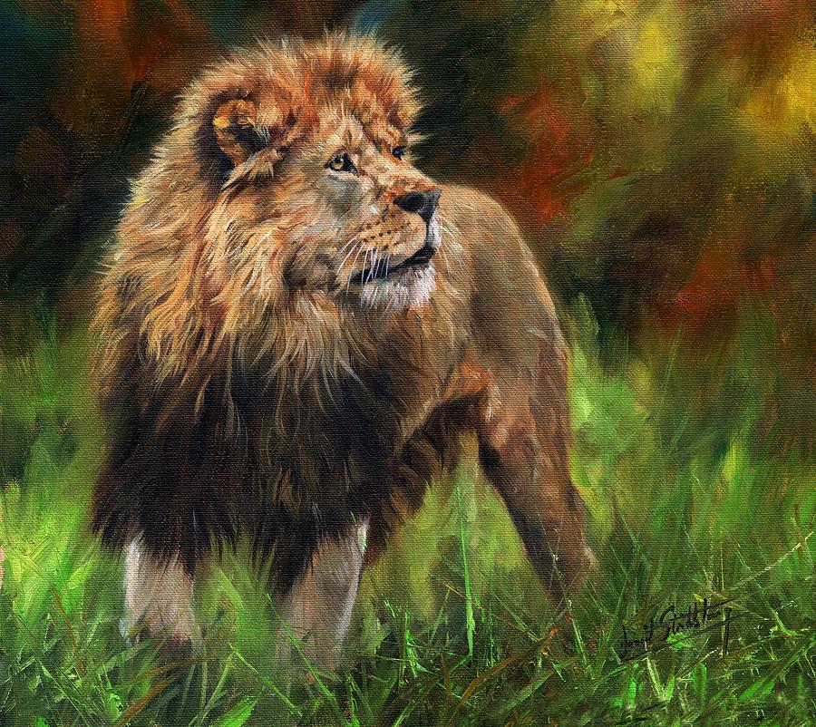 Lion Painting - Look of the Lion by David Stribbling