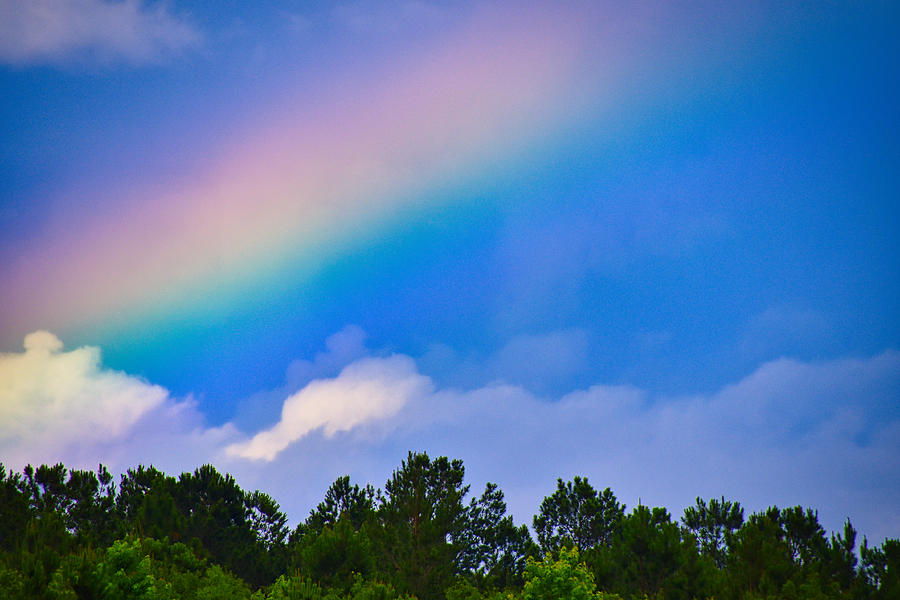 Look to the Rainbow Photograph by Linda Brown