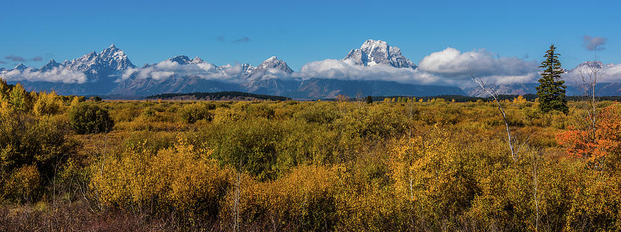 Looking Across Willow Flats To Mt Moran Photograph by Yeates Photography