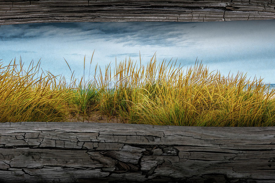 Looking at Beach Grass between the Fence Rails Photograph by Randall Nyhof
