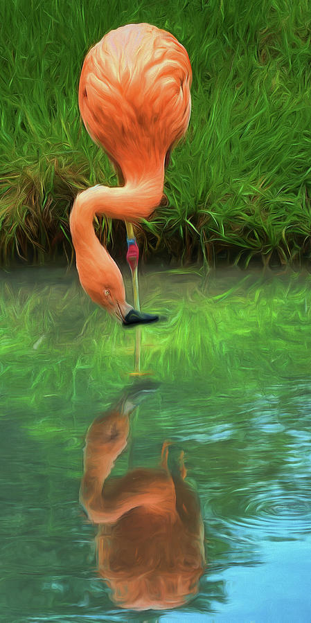 Looking at Me - Flamingo Photograph by Nikolyn McDonald