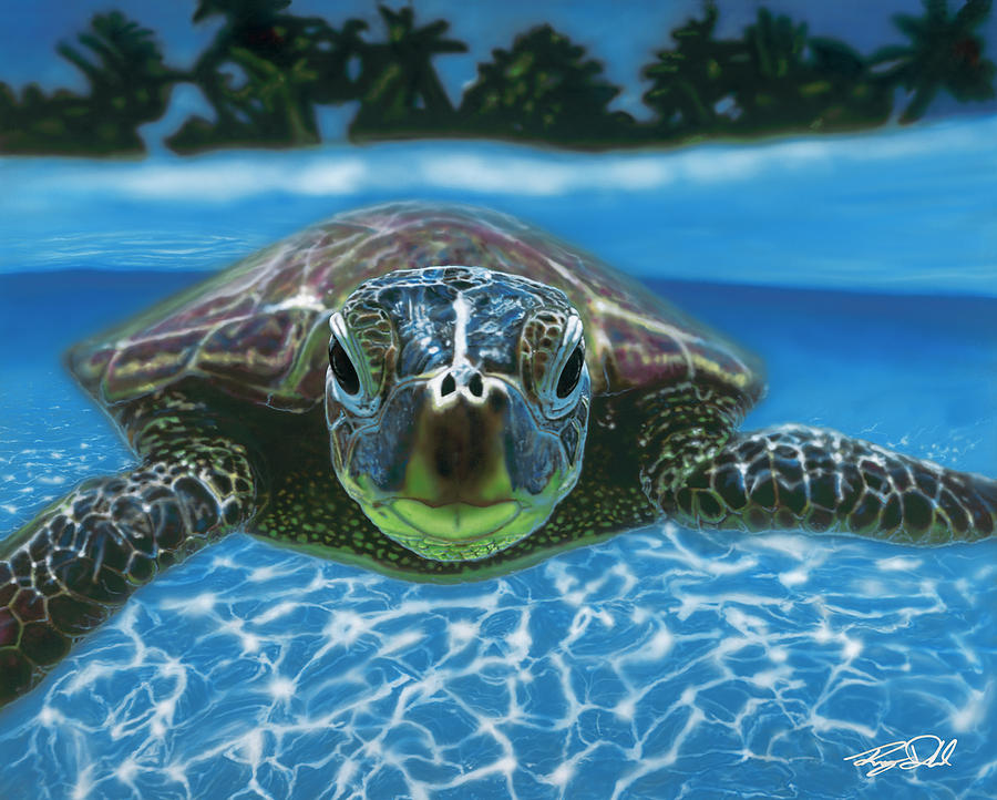 Turtle Painting - Looking at You by Randy Dahl