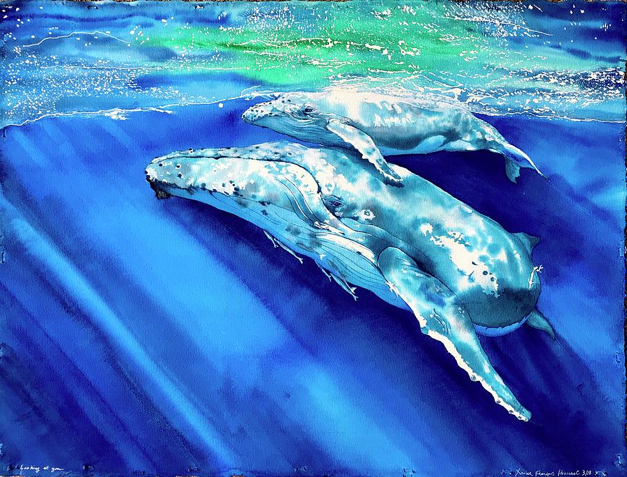 Whale Painting - Looking at you. by Xavier Francois Hussenet